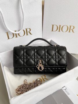 Dior Bags 2.0