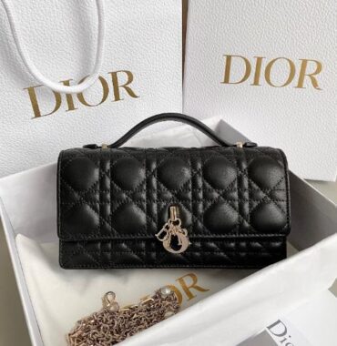 Dior Bags 2.0