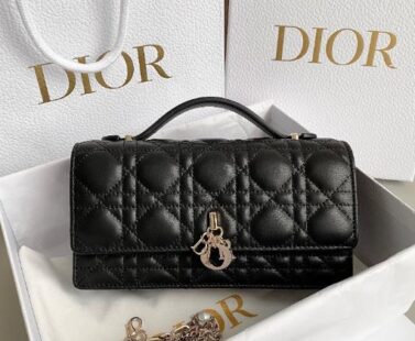 Dior Bags 2.0