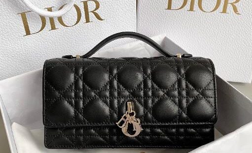 Dior Bags 2.0