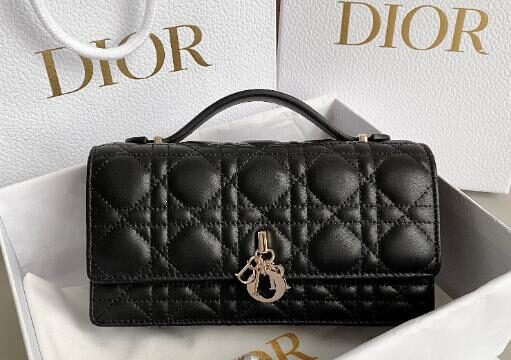 Dior Bags 2.0