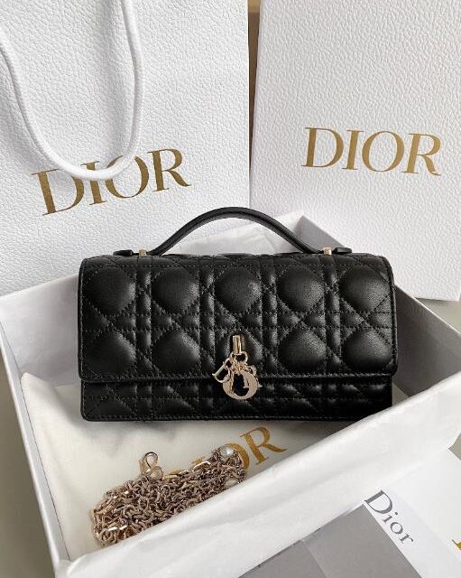 Dior Bags 2.0