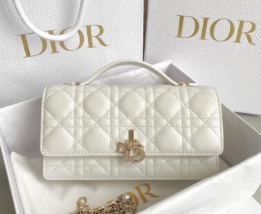 Dior Bags 2.1