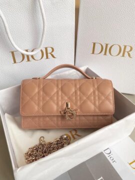 Dior Bags 2.2