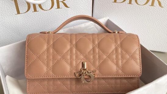 Dior Bags 2.2