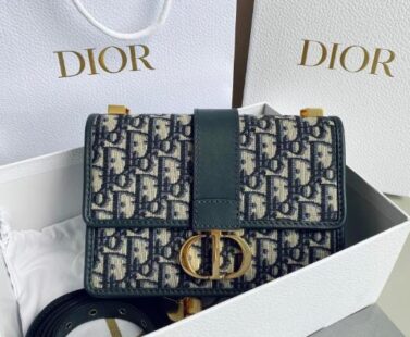 Dior Bags 2.5