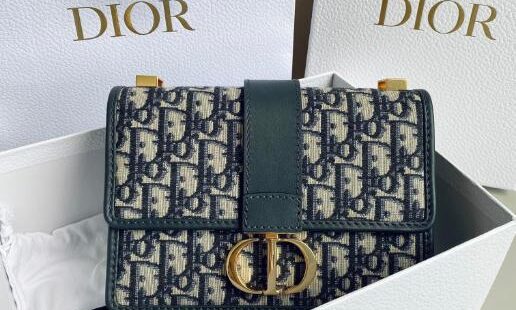 Dior Bags 2.5