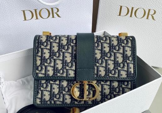 Dior Bags 2.5