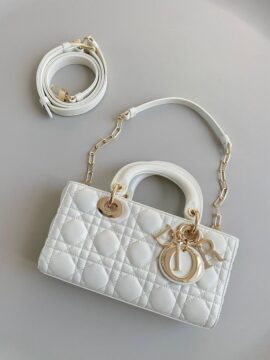 Dior Bags 2.6