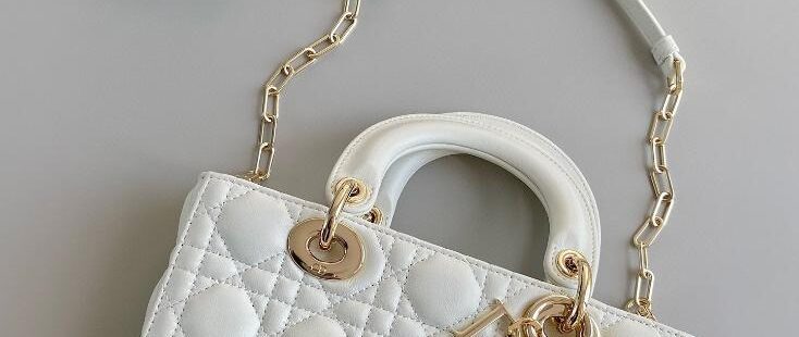 Dior Bags 2.6