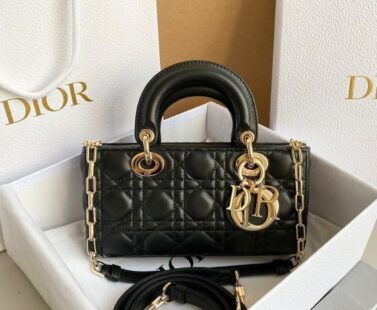 Dior Bags 2.7