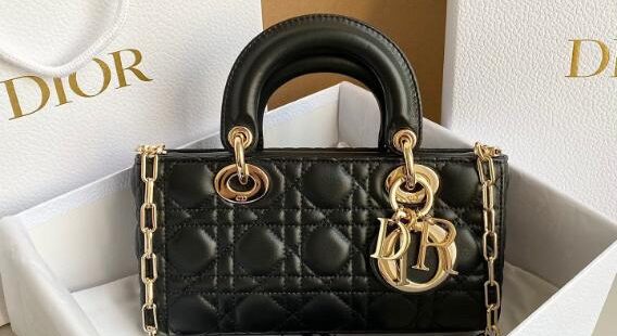 Dior Bags 2.7