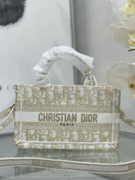 Dior Bags 1.2