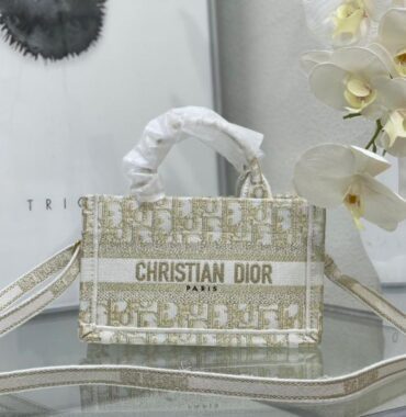 Dior Bags 1.2