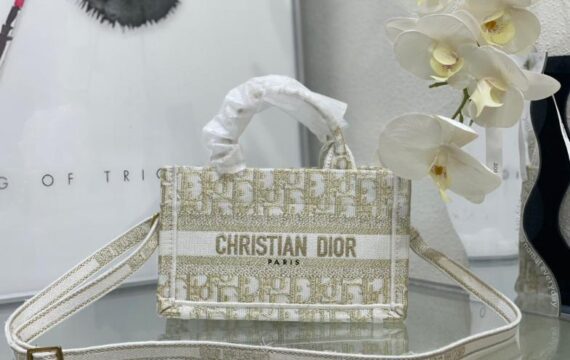 Dior Bags 1.2