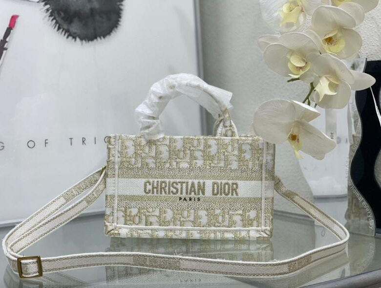 Dior Bags 1.2