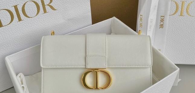 Dior Bags 1.4