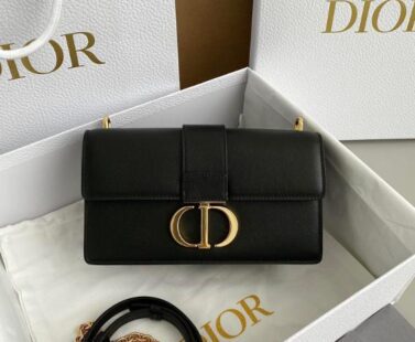 Dior Bags 1.5