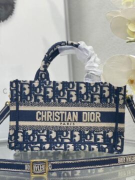 Dior bag 1.1