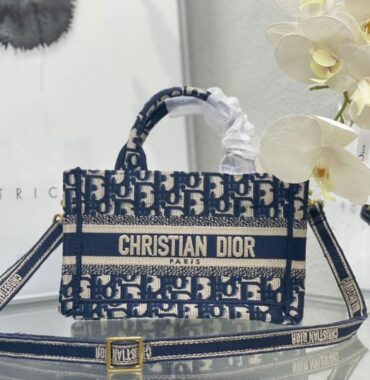 Dior bag 1.1