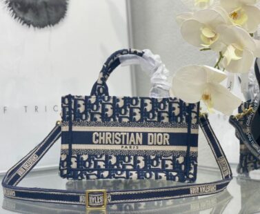 Dior bag 1.1