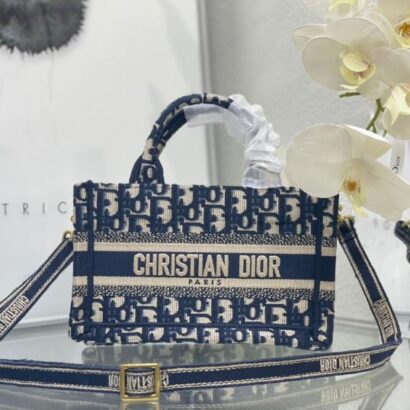 Dior bag 1.1