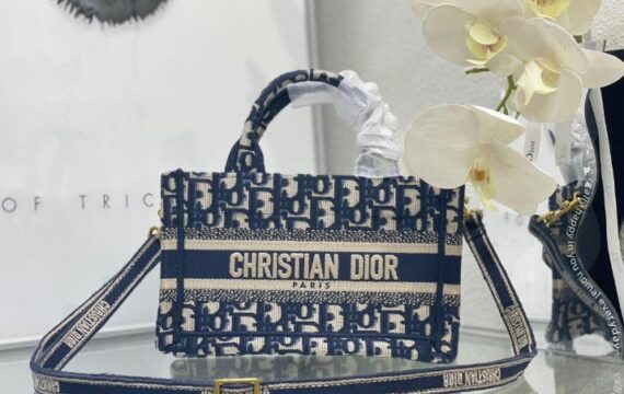 Dior bag 1.1