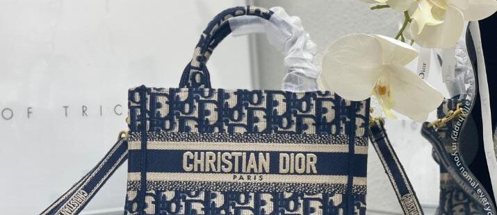 Dior bag 1.1