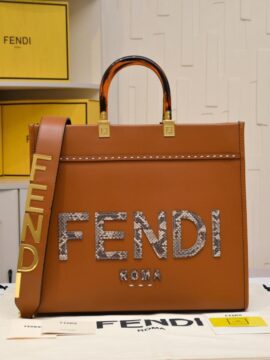 Fendi Bags 2.0