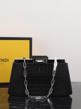 Fendi bag 1.1