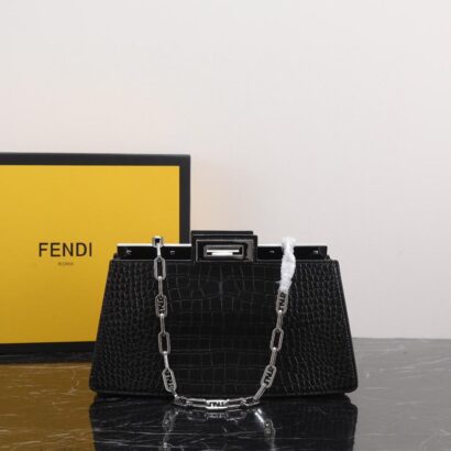 Fendi bag 1.1