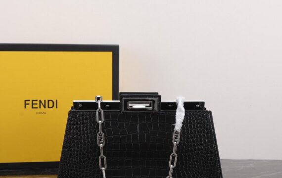 Fendi bag 1.1