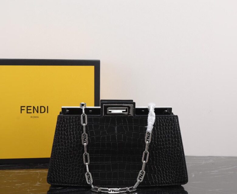 Fendi bag 1.1