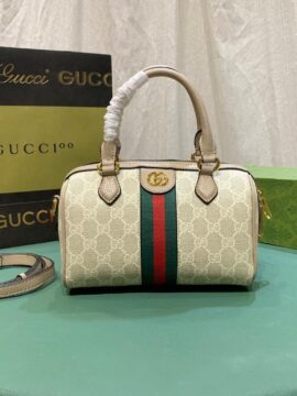 Gucci bag 1.2