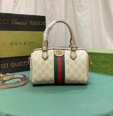 Gucci bag 1.2