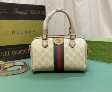 Gucci bag 1.2