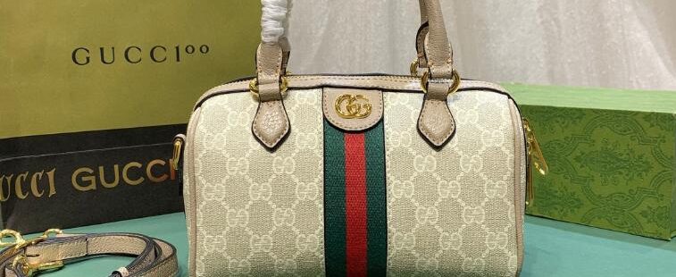 Gucci bag 1.2