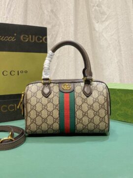 Gucci bag 1.3