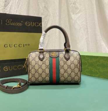 Gucci bag 1.3