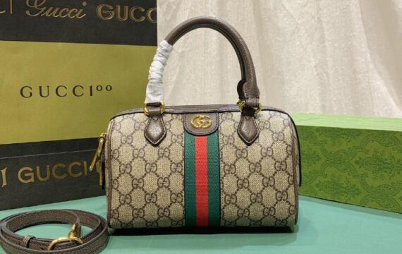 Gucci bag 1.3