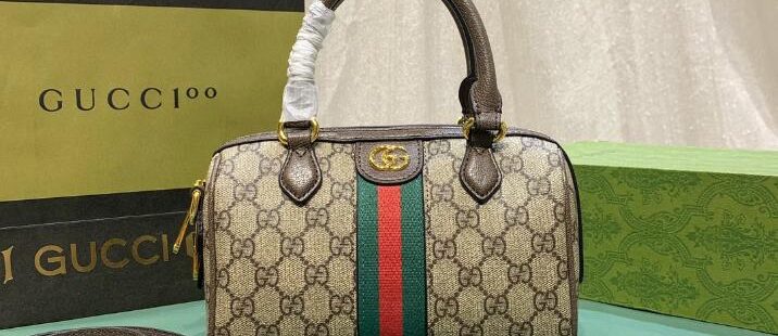 Gucci bag 1.3