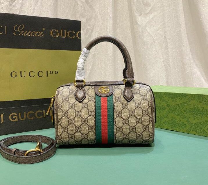 Gucci bag 1.3