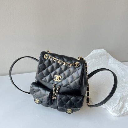 Chanel bag 34