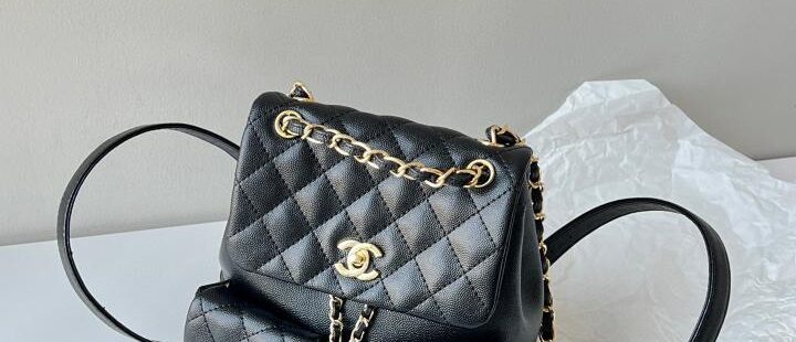 Chanel bag 34