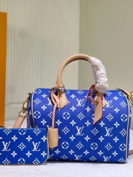 louis vuitton bag 38