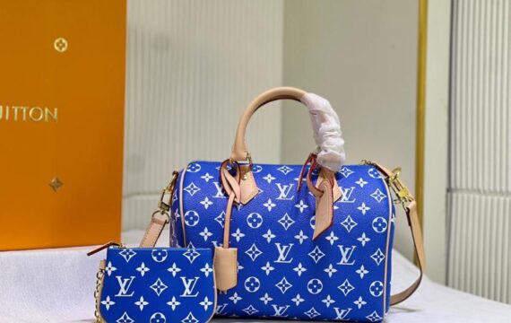 louis vuitton bag 38