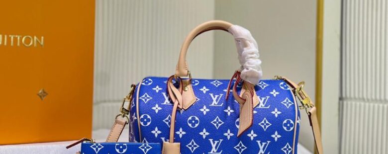 louis vuitton bag 38