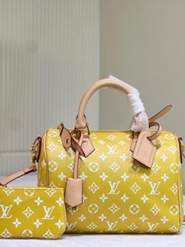 louis vuitton bag 39