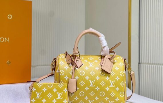 louis vuitton bag 39