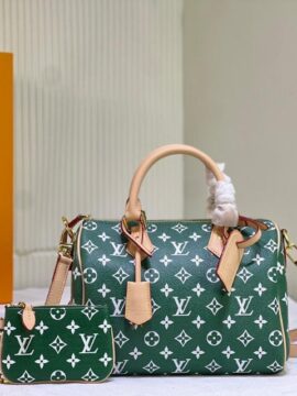 louis vuitton bag 40